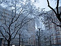 NEVE_Torino_28_11_2008  6479